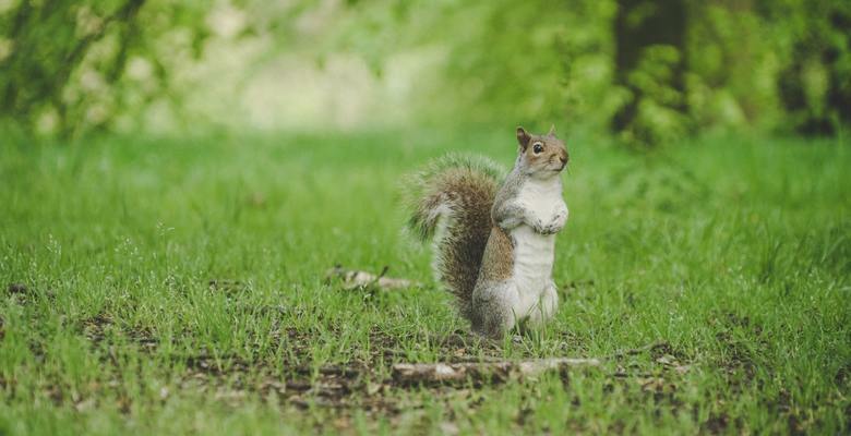 ‘The English are skittish, like squirrels’ The blogger Craig Ashton about Russian businessmen, business etiquette and English teachers