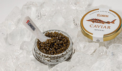 Yuliana Volnaya, UK Director of Lemberg Caviar: At our prices, customers can afford to eat caviar by the spoonful