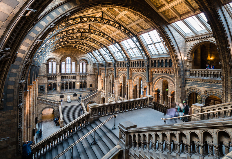 The Natural History Museum. Photo: flickr.com/photos/barneymoss