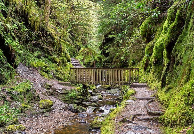 Puck’s Glen photo: 123rf.com